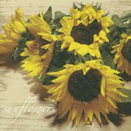 Serviettenset Wild sunflowers
