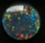 Opal Triplette rund